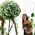 a.webp