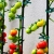 9.webp