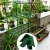 h.webp