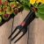 15.webp