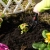 16.webp