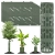 a.webp