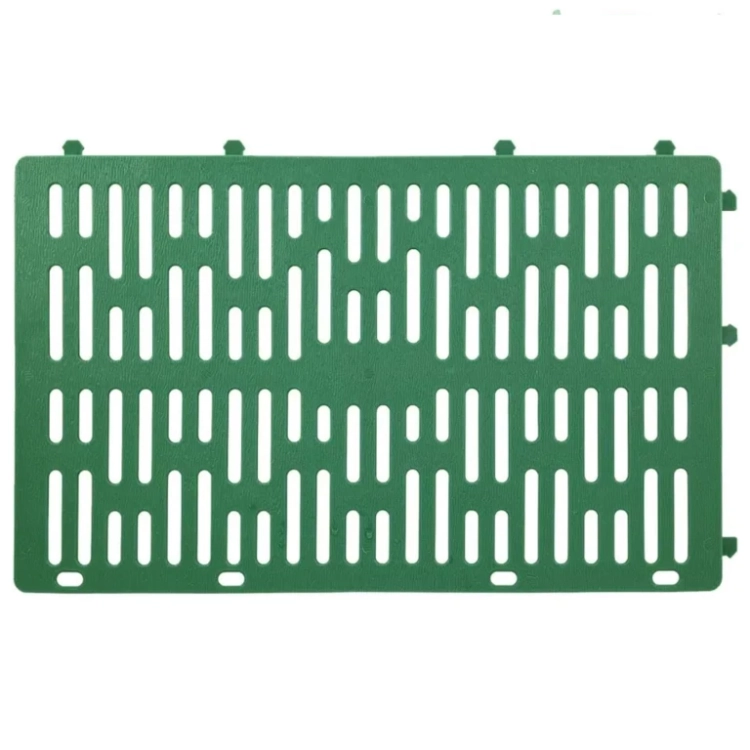 c.webp