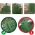 h.webp