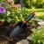 h.webp
