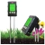 11.webp