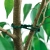 6.webp