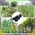 h.webp