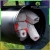 18.webp