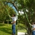 19.webp