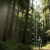 20.webp