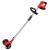 12.webp