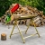 17.webp