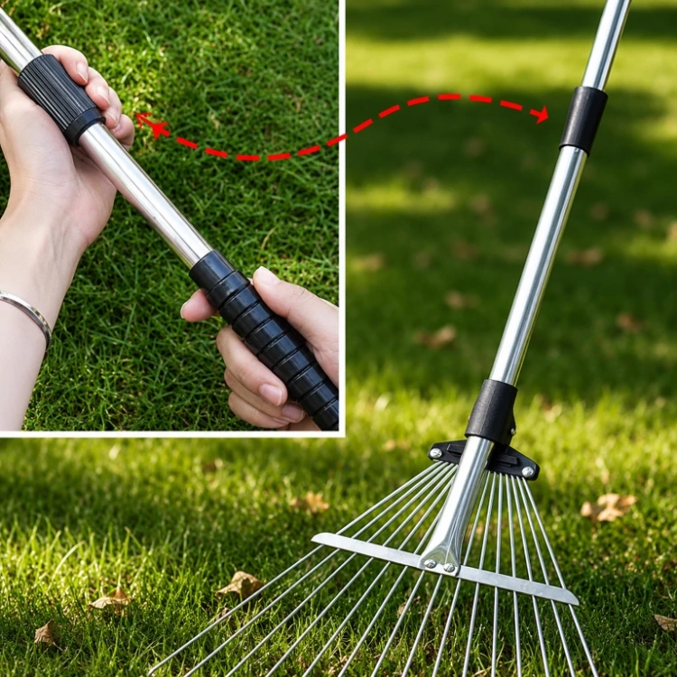 15.webp
