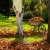 20.webp