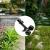 16.webp