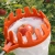 h.webp
