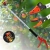 h.webp