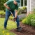 17.webp