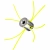 5.webp