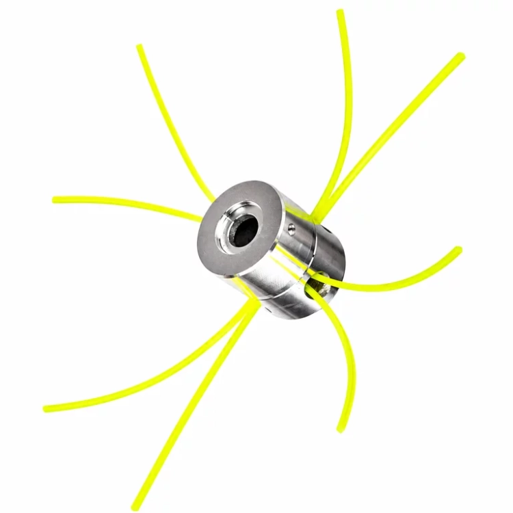 5.webp