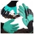 11.webp