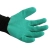 13.webp