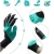 15.webp
