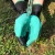 17.webp