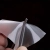 16.webp
