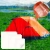 19.webp