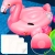 20.webp