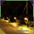 17.webp
