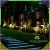 20.webp