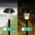 7.webp