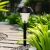 10.webp