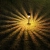12.webp