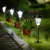 14.webp