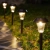 15.webp