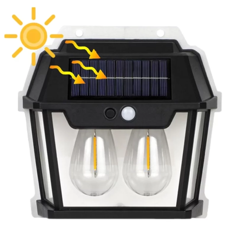 13.webp