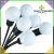 5.webp