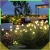 12.webp