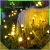 13.webp
