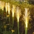 20.webp