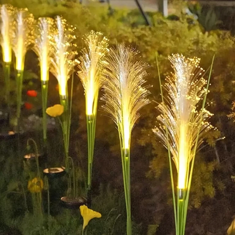 20.webp