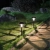 20.webp