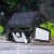 h.webp