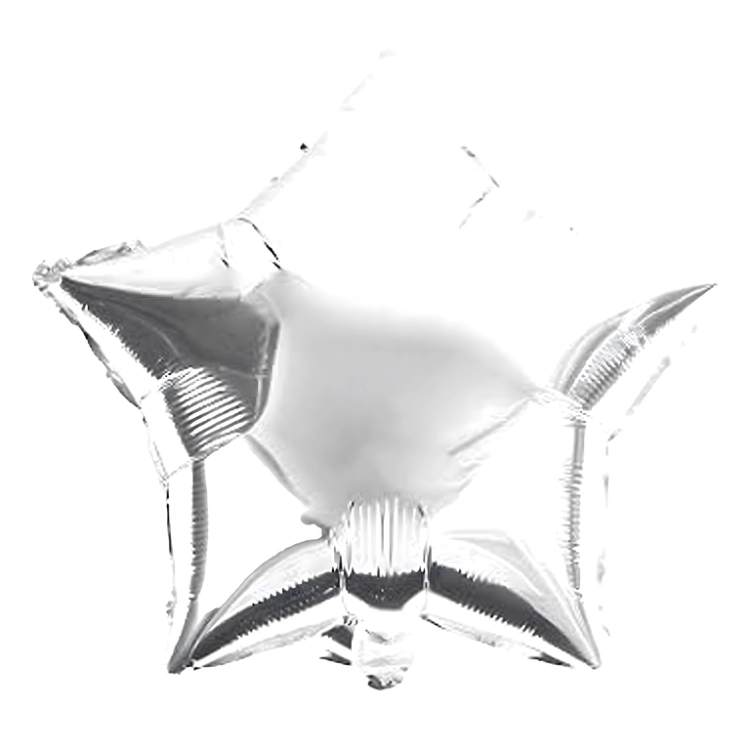 13.webp