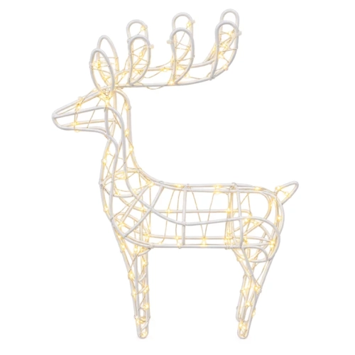 12.webp