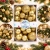 14.webp